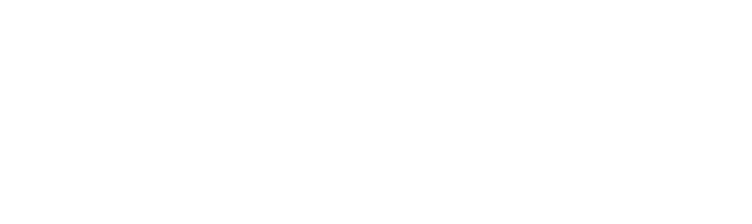 Rally Trailer