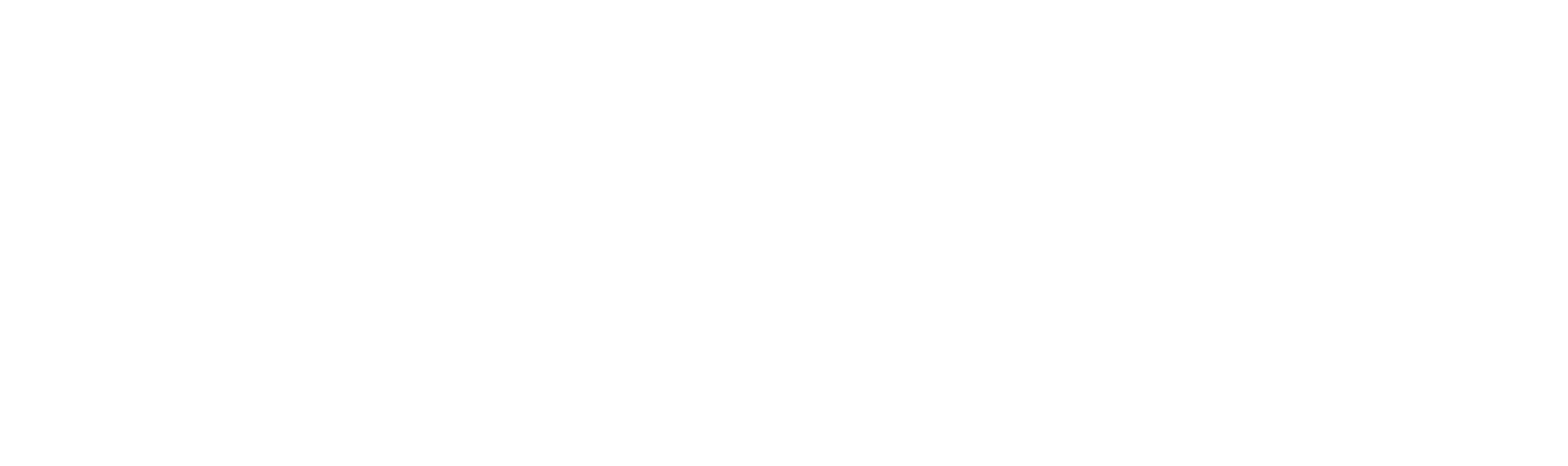 Rally Trailer MFG